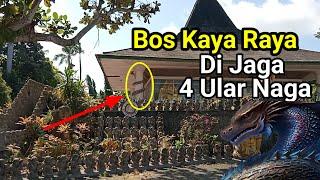 Viral Di Tulungagung ! Empat Ekor Naga Menjaga Makam Bos Terkaya Di Pedepokan Reco Pentung Sewu