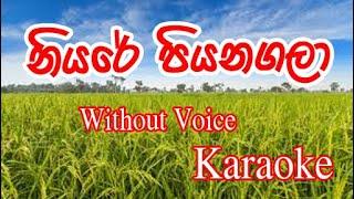 Niyare Piyanagala Karaoke Songs for party - Saman De Silva