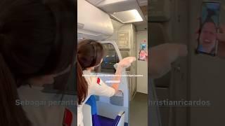 The excitement of Super Air Jet's beautiful flight attendants