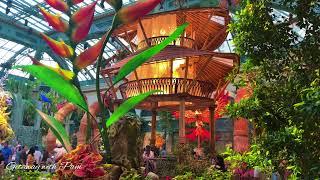 Bellagio Botanical Garden Display || Summer 2021 || Las Vegas Tour