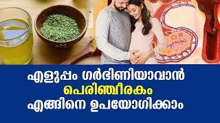 എളുപ്പം ഗര്‍ഭിണിയാവാന്‍ പെരിഞ്ചീരകം എങ്ങിനെ ഉപയോഗിക്കാം Fennel seeds benefit for fertility