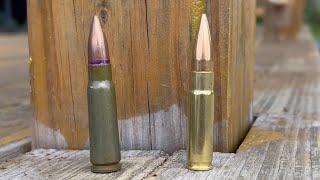 Objectively Superior Cartridge? (7.62x39 vs 300 Blackout)