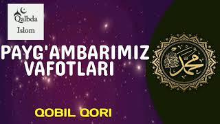 Qobil qori - Payg'ambarimiz vafotlari haqida