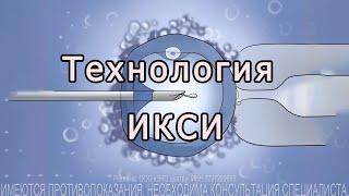 Технология ИКСИ