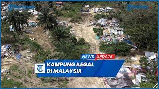 Viral Kampung Ilegal Warga Indonesia di Perkebunan Kelapa Sawit Malaysia