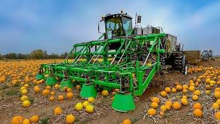 Amazing Agriculture Machines Operating At An INSANE LEVEL #2