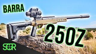 The Airgun MOST Resembling an ACTUAL RIFLE! - BARRA 250Z!