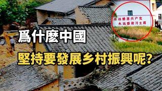 中國為什麼發展鄉村振興和生態文明？兩者或將化解美元霸權困局！【知有論online】