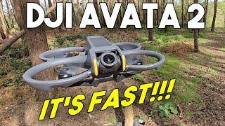 DJI AVATA 2 - CRASH TESTS!