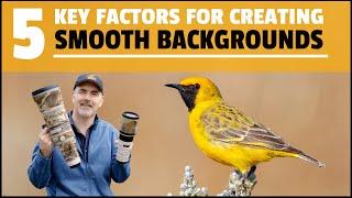 FIVE KEY factors for creating SMOOTH BACKGROUNDS in bird photographs.