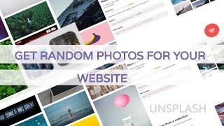 How To Use Unsplash | Quick Guide For Developers | Get Random Photos For Your Website