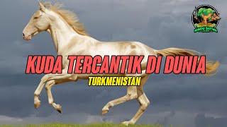 Kuda Tercantik Di Dunia, Akhal Teke