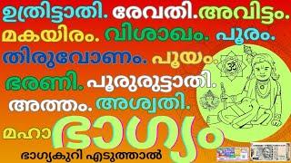 Fortune Karama ഈ നക്ഷത്രകാർ ഇനി ഭാഗ്യസമയം. Kallmekapil #starbornpeople