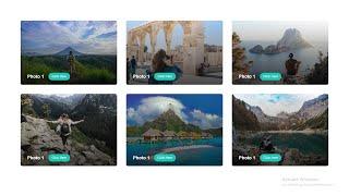 CSS Image Hover Effect | Responsive Using Grid