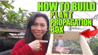 Build Plant Propagation Boxes for Roses, Hydrangeas, Citrus and Hibiscus