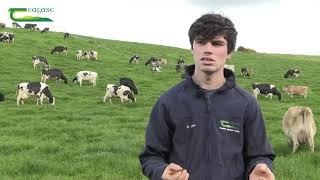 Teagasc Student of the Year 2020 - Conor Lehane