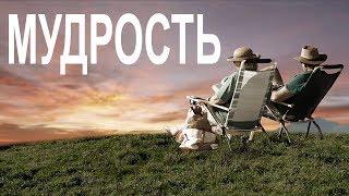 Философия Мудрости [The School of Life]