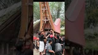 TRADISI UNIK RAMBU SOLO | PEMAKAMAN KHAS ADAT SUKU TORAJA | BAGIAN 1 #shorts #rambusolo