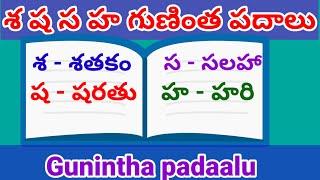 Gunintha padalu | శ ష స హ గుణింత పదాలు | sha  sha sa ha gunintha padalu