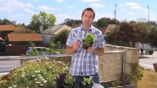 How to Install a Holman GreenWall Vertical Gardening Kit - Home in WA