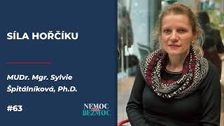 THE POWER OF MAGNESIUM | Why is magnesium important to us? | Podcast NEMOC není BEZMOC