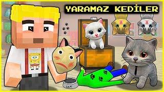 EFEKAN VE KEDİLERİ YARAMAZLIK YAPIYOR!  - Minecraft