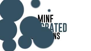 MINF INTEGRATED SOLUTIONS - INTRODUCTION