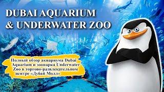 Аквариум в Дубай Молле Dubai Aquarium and Underwater Zoo - полный обзор!