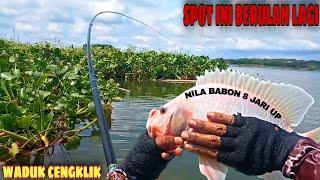 GilaJoran Hampir Patah Di Hajar Nila Monster Lagi || Mancing Waduk Cengklik || Mancing Nyobok