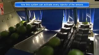 how works this conveyor belt?