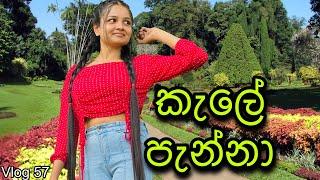 Bike එකේ නුවර ගමන | Peradeniya Botanical Garden | Pool Club | KCC | Vito Pizza | @WolfyVlogs