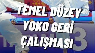 Temel Yoko Geri Çalışması