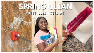 DEEP CLEAN WITH ME 2025 | SPRING CLEAN |  CLEAN WITH ME MOTIVATION