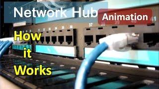 Animation of working of Hub | How hub works