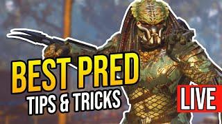  LIVE! BEST PREDATOR in Predator Hunting Grounds "TIPS & TRICKS!" How to Play Predator Livestream