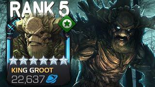 RANK 5 KING GROOT IS TREE-MENDOUS! - Damage and Battlegrounds Showcase