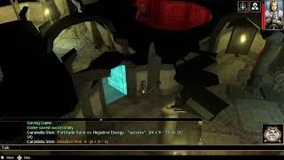 NeverWinter Nights , Silent gameplay