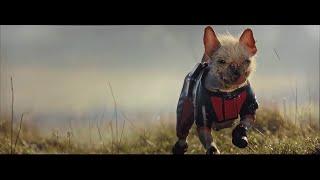 Dogpool Entry Scene | Deadpool & Wolverine