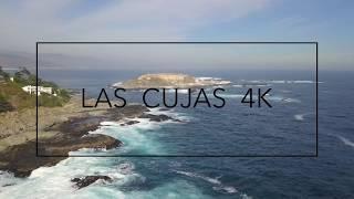 Playa Las Cujas | Zapallar 4K