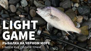 5 видов рыб с одной точки! Рыбалка на Черном море в Сочи.