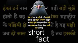 #short #youtubshort #trendingshort #viralshort #facts #allshorts