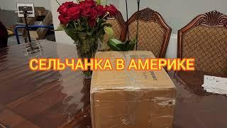 НЕОЖИДАННАЯ ПОСЫЛКА ОТ ПОДПИСЧИЦЫ