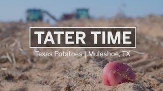 Tater Time | Texas Potatoes