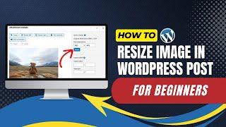 How To Resize Image In WordPress Post For Beginners