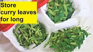Curry leaves saving tips | How to keep curry leaves for long | How to store curry leaves