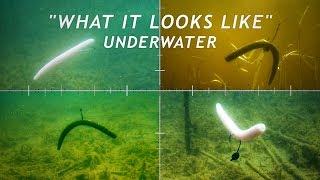 4 Wacky Rigging Methods | What it Looks Like Underwater