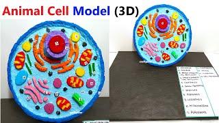 animal cell model making for science project exhibition- diy - craftpiller