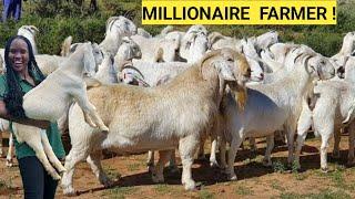 How To Make PROFITS In Exotic Goats Farm Business! | Market, Farm Routine!