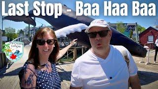 Bar Harbor Maine Ends one of Our Best Cruises Ever  | Day 7 Vlog Volendam