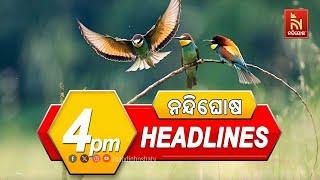 Headlines @4PM | 11th  March 2025 | NandighoshaTV